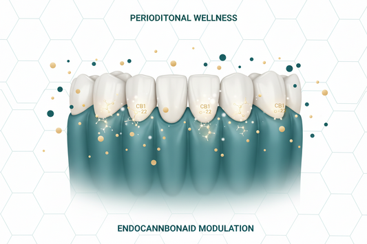 Periodontia