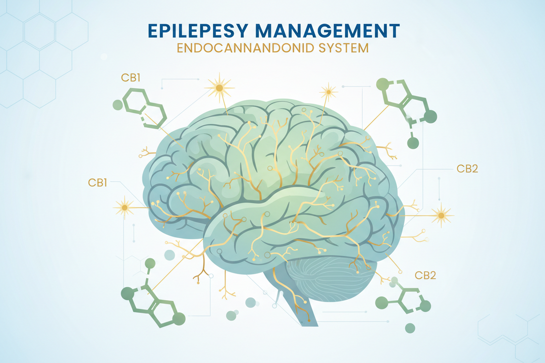 Eplepsia